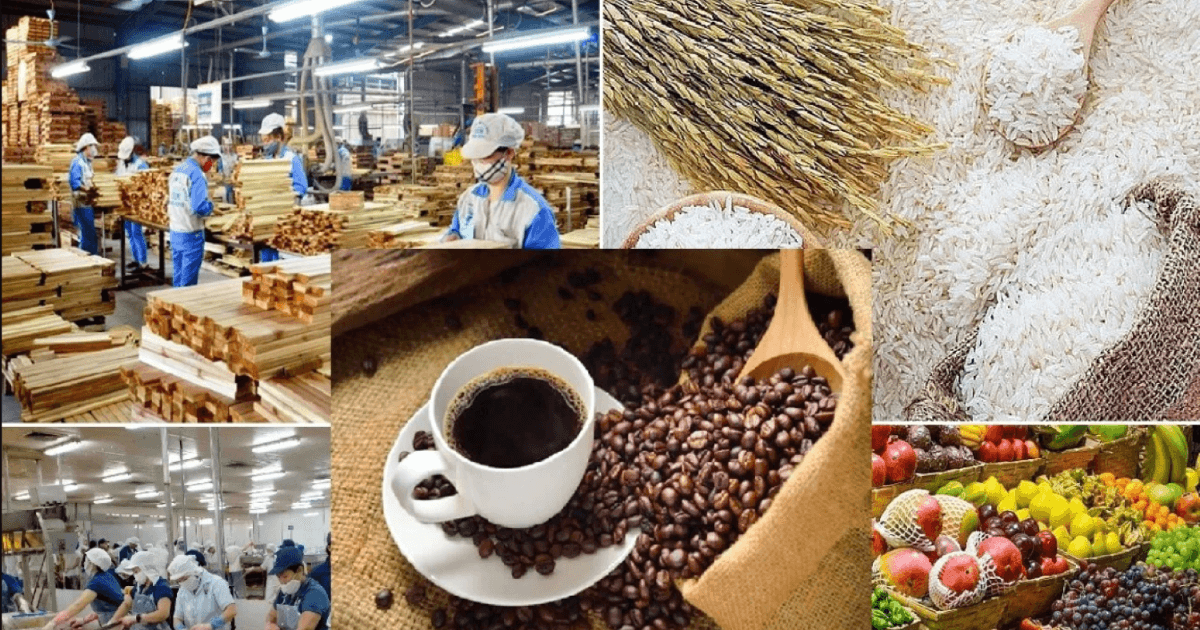 Agro-forestry-fishery imports top $22 bln in first five months, up 12.6%