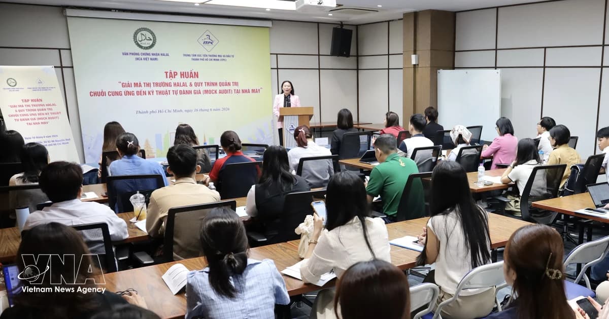 Growing Halal market offers opportunities for Vietnamese businesses