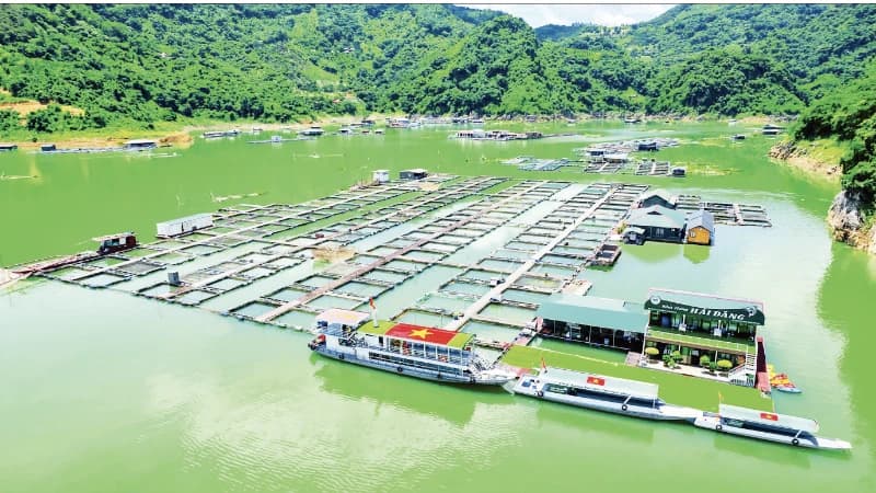 Reservoir aquaculture set to drive sustainable growth in Viet Nam’s fisheries sector