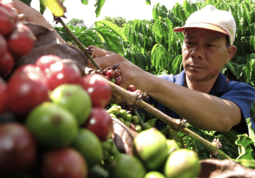 Vietnam-Russia: Expanding opportunities for bilateral trade cooperation
