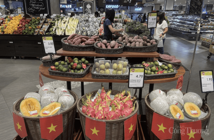 Vietnam - Malaysia trade posts strong growth in the five months of 2026