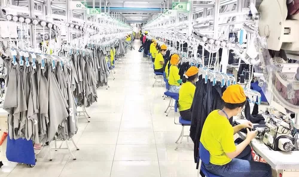 Viet Nam moves beyond production hub to higher-value link in global value chain: French expert