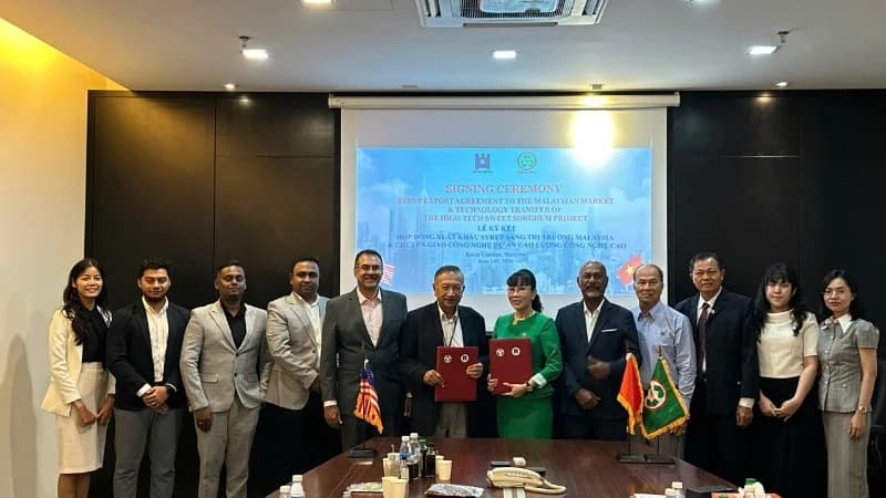 Vietnamese and Malaysian firms partner to develop Halal-certified sorghum-based products