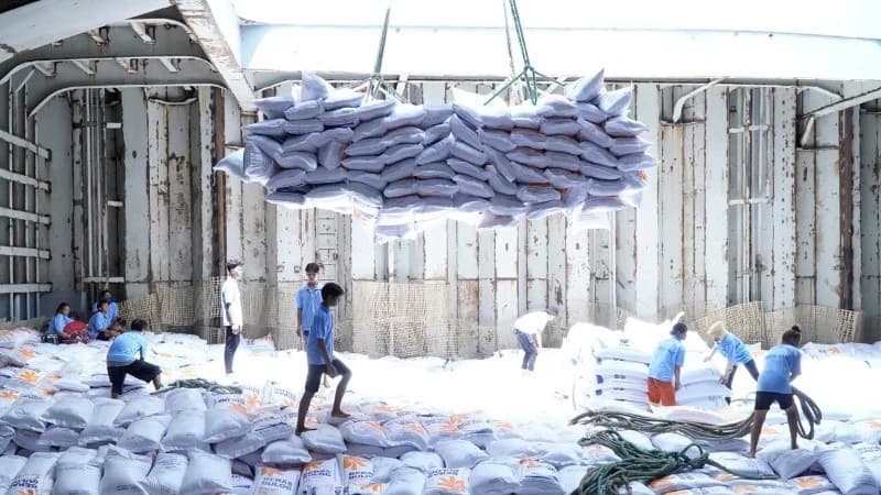Viet Nam’s rice export prices rise sharply due to tight supply