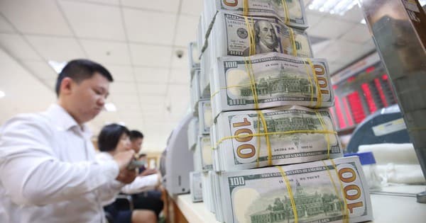 Viet Nam's foreign exchange reserves hit US$87.6 bln