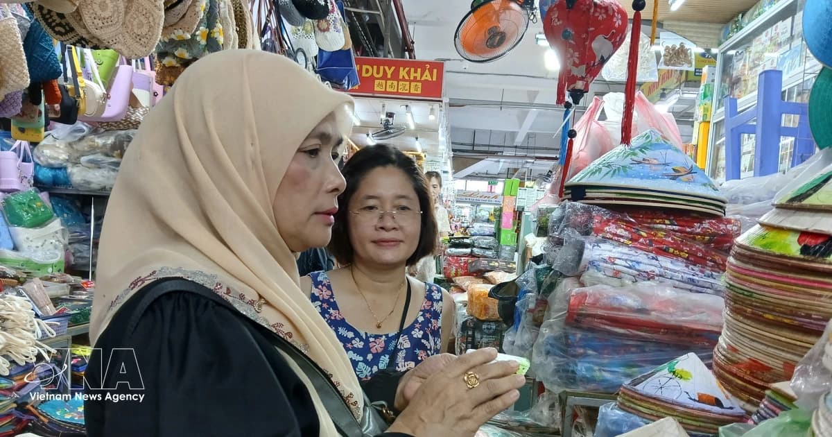 Indian media highlights Vietnam's growing appeal to travellers