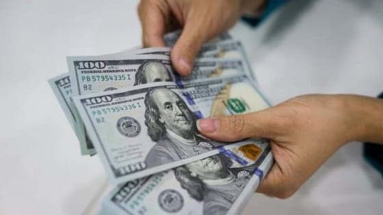 Vietnam's foreign exchange reserves near $87.6 bln, central bank proposes reforms