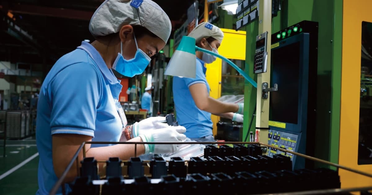 Critical connections between FDI and domestic enterprises