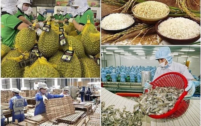 Agro-forestry-aquatic Exports Surge Over 9% in Five Months