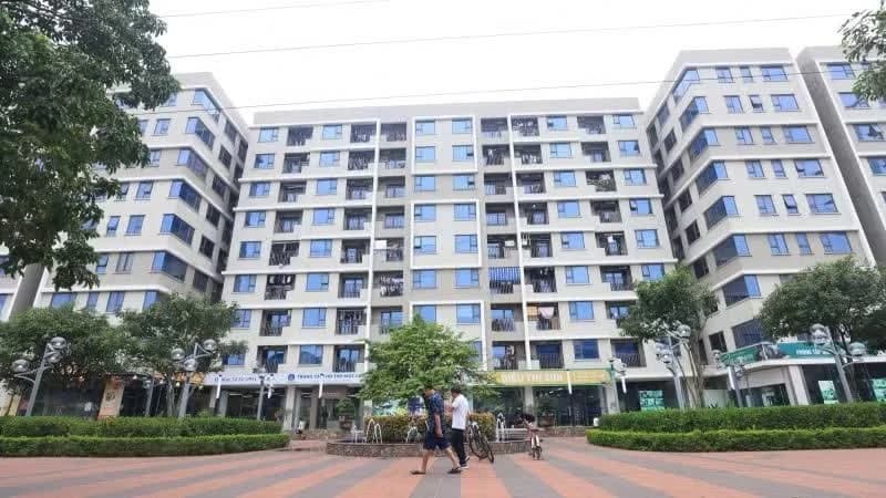 Government to introduce strong incentives for rental housing development