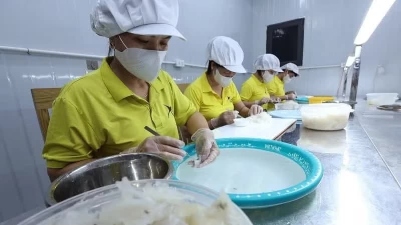 Viet Nam's economy accelerates despite global uncertainties: French report