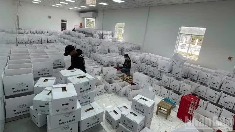 Over 94,800 new enterprises enter market in first five months of 2026