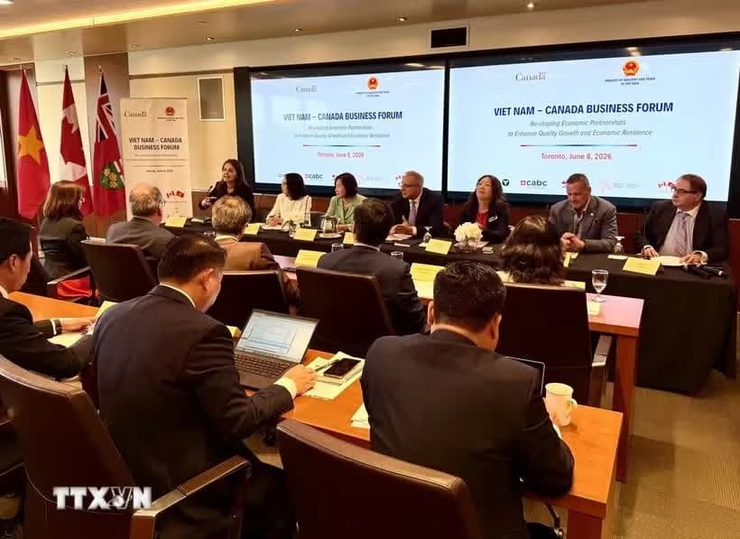 Green transition creates fresh opportunities for Vietnam–Canada partnership
