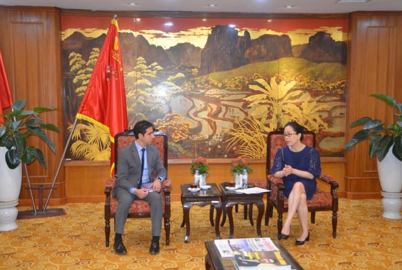 Vietnam, Egypt Expand Supply Chain Cooperation Opportunities