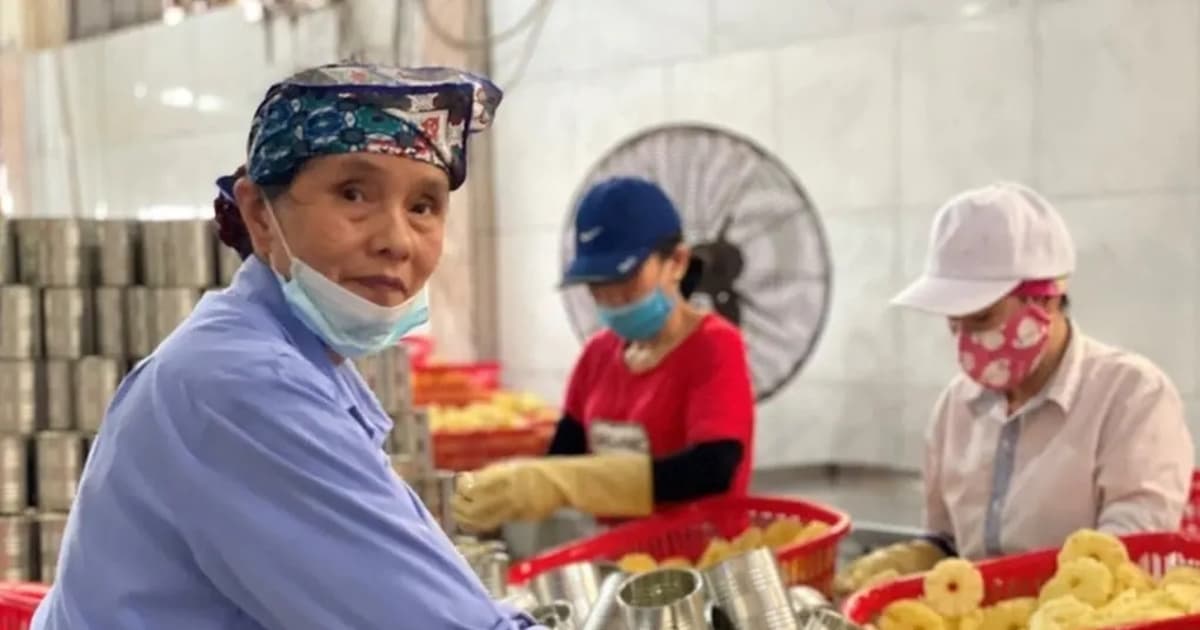 Hanoi to host 2026 job fair for the elderly