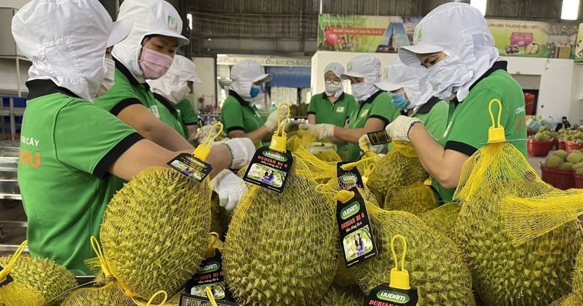 First Vietnam–China Agricultural Trade Connectivity Forum opens in HCM City