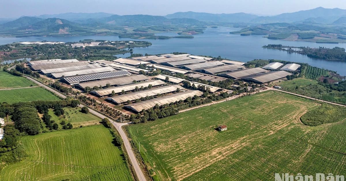 Green credit set to accelerate Viet Nam’s economic transition