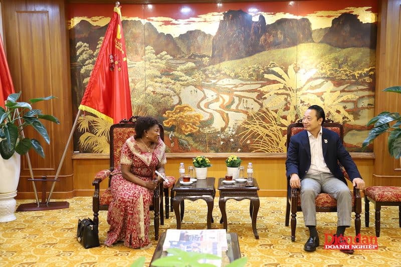 Promoting Meaningful Connectivity Between Vietnamese and Ugandan Businesses