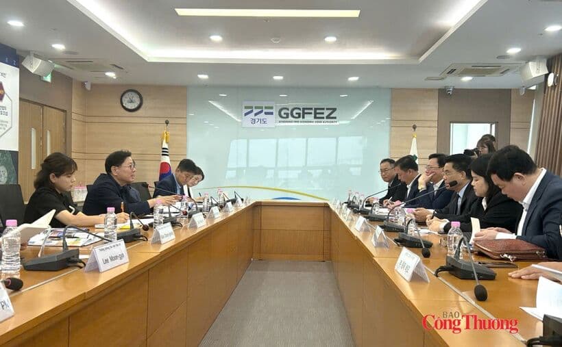 Vietnam, RoK step up cooperation in free economic zones and investment promotion