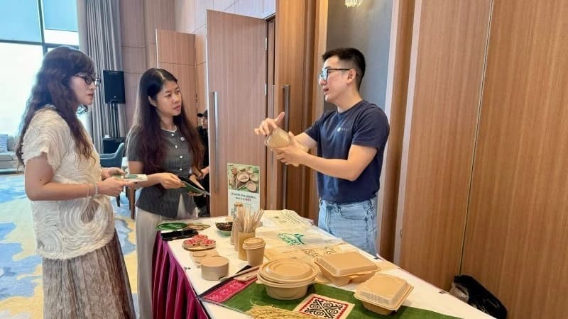 Beyond collection and treatment: Viet Nam charts a life-cycle approach to plastic waste