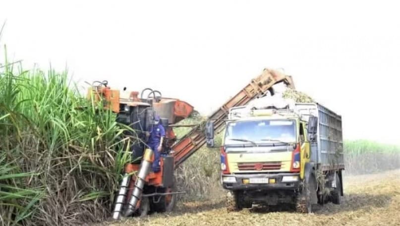 Mechanisation paves the way for large-scale agricultural production