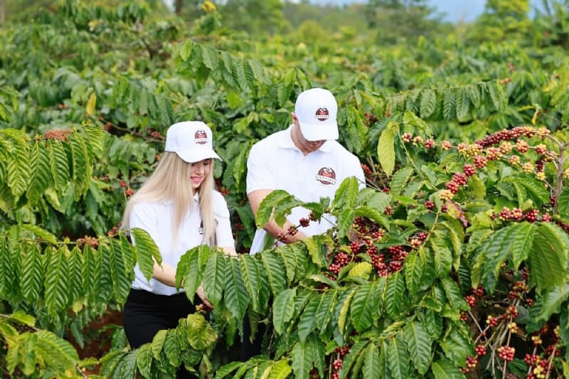 Promoting High-Value, Green Agriculture