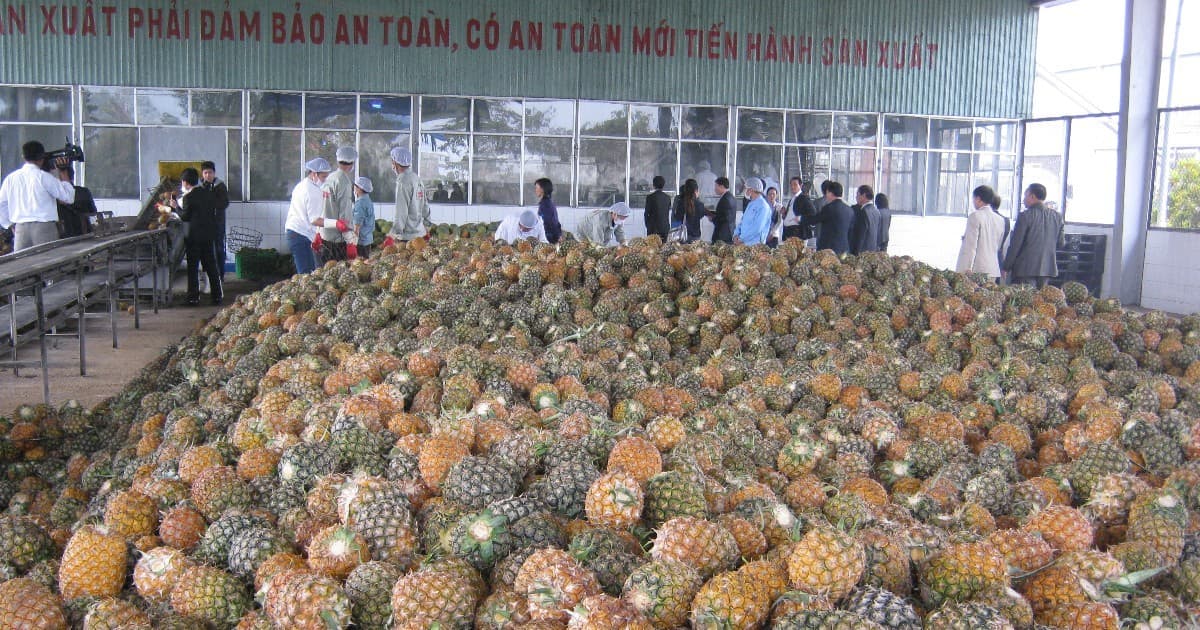 Fruits and seafood shine as Vietnam’s agro-exports hit $43 bln