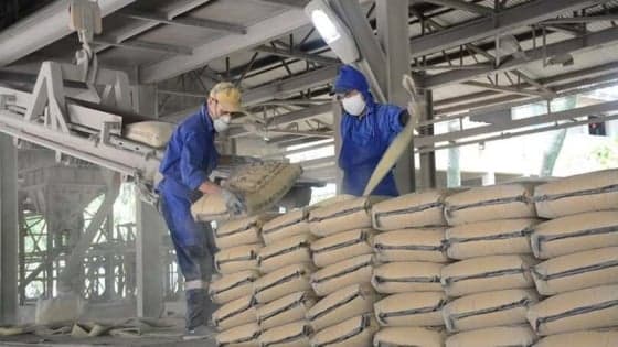 Vietnam's manufacturing sector gains momentum in July as inflationary pressures ease