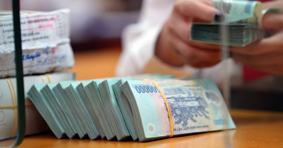Combined capital mobilization of HCMC and Dong Nai tops $232 mln in H1