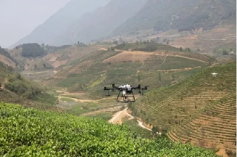 New growth drivers offer Vietnam's agriculture chance to accelerate