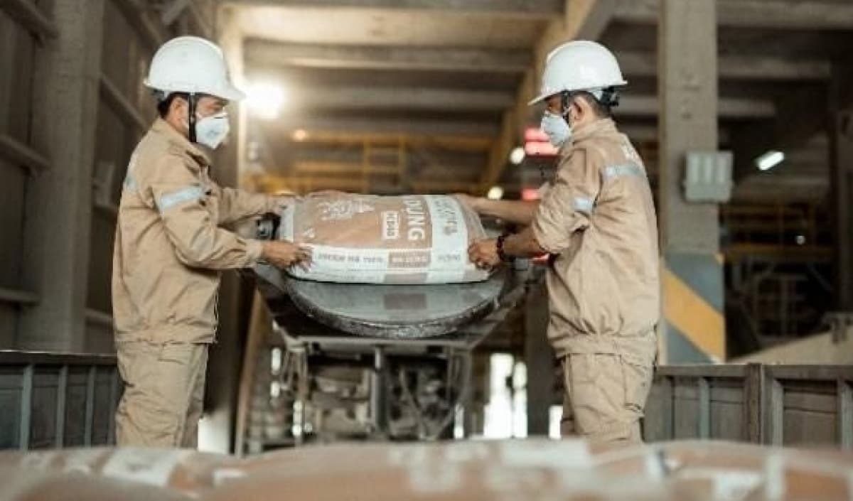 Cement producers sustain growth as construction demand holds firm