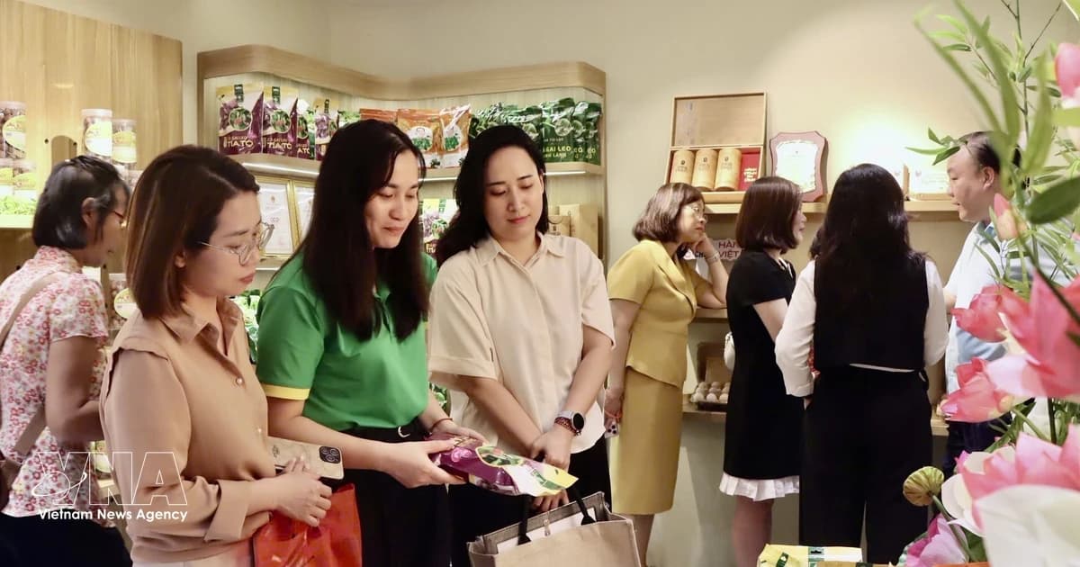 Domestic consumption, tourism fuel Vietnam’s economic growth in seven months