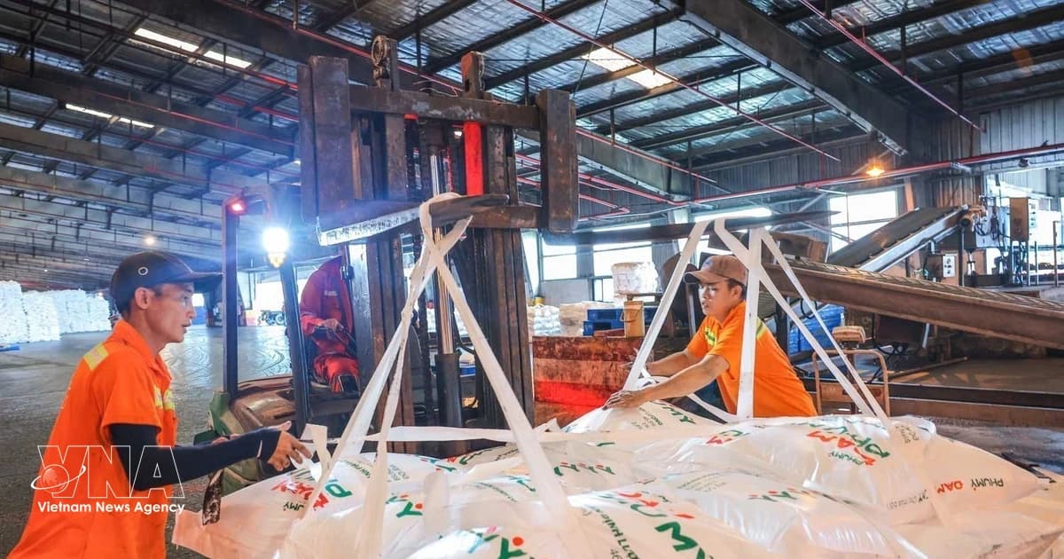 US boosts biofertiliser exports to Vietnam
