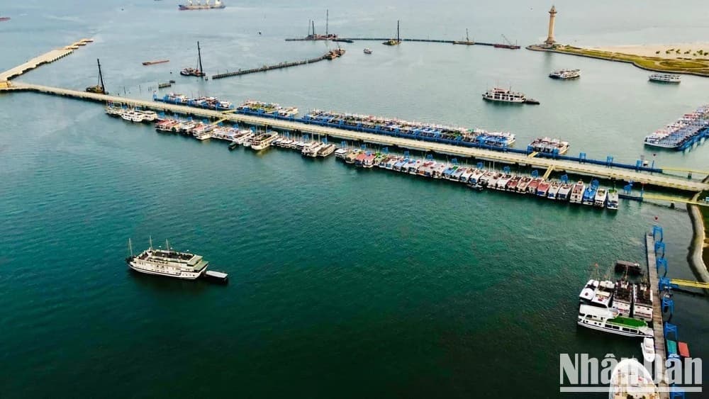 Leveraging potential of FTAs ​​for double-digit growth