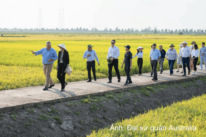 Viet Nam - Australia: Opening a new chapter in bilateral cooperation