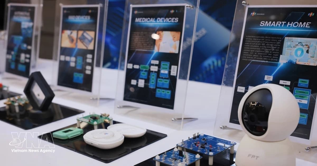 Vietnam should prioritise chip manufacturing, packaging: Japanese expert