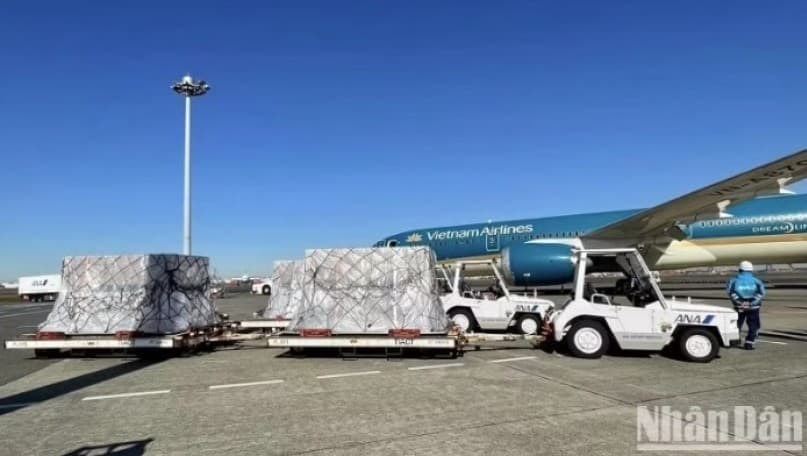 Mobilising resources to forge a regional air logistics hub