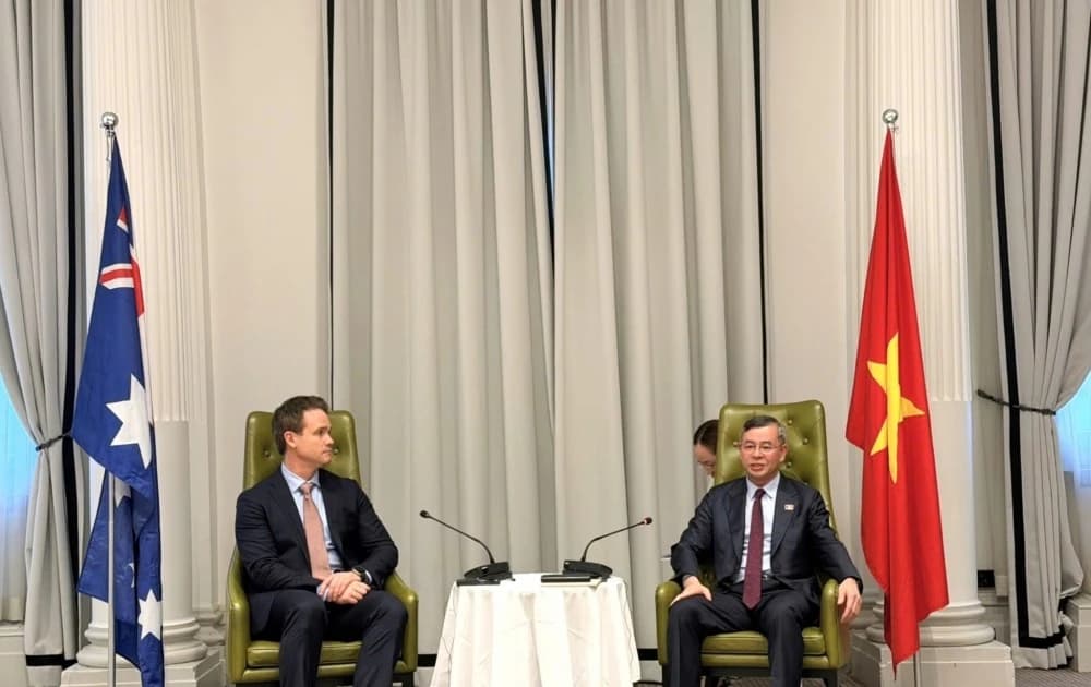 Vietnam, Australia seek to expand investment in rice value chain