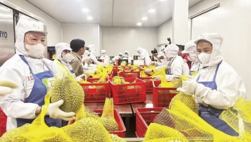 Measures needed to bring Vinh Long’s agricultural products to wider markets