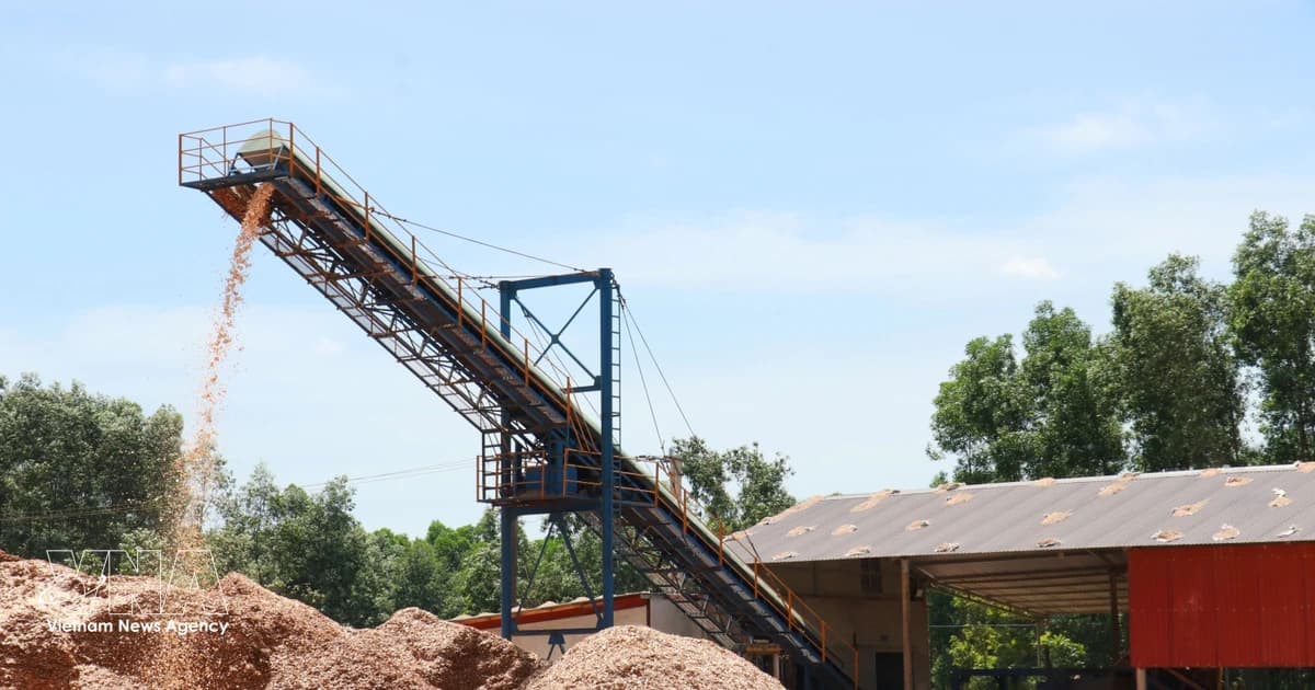 Tackling timber supply bottlenecks needed for value-added processing: experts
