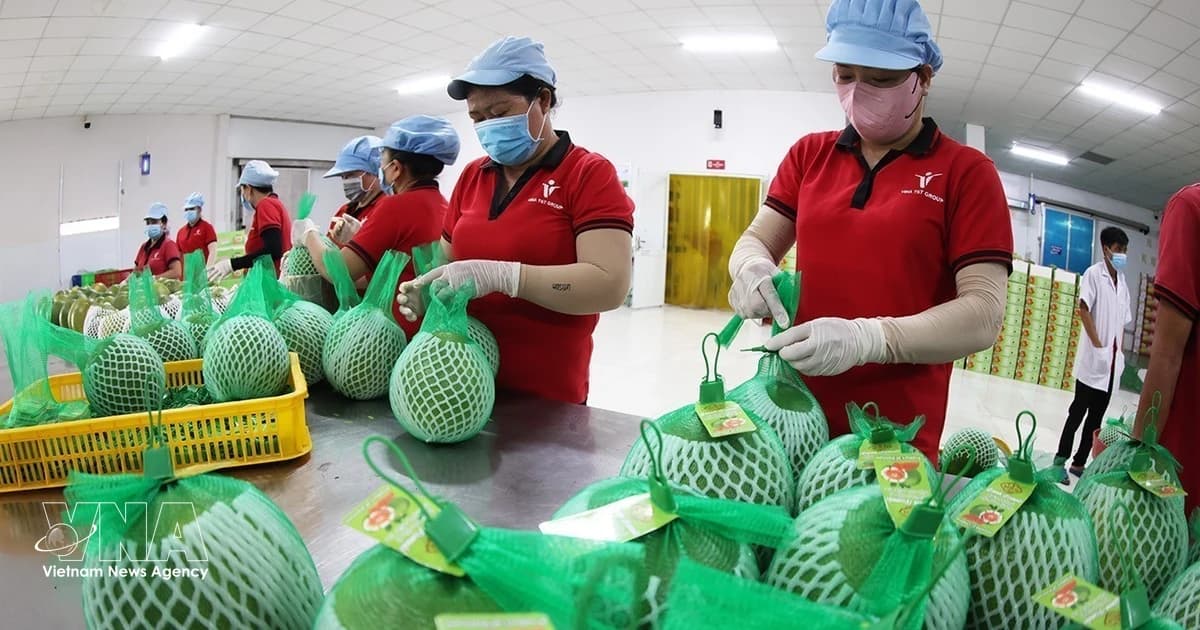 Vietnam races to achieve 74-billion-USD target from agro-forestry-aquatic exports