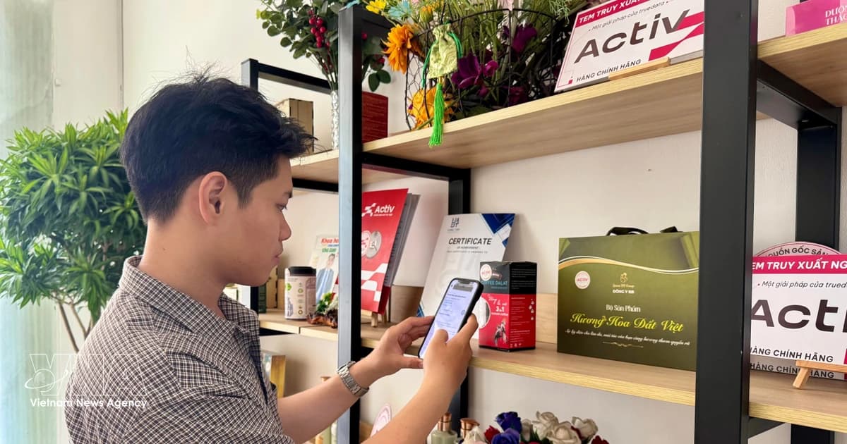 Legal safeguards for consumers in digital economy strengthened