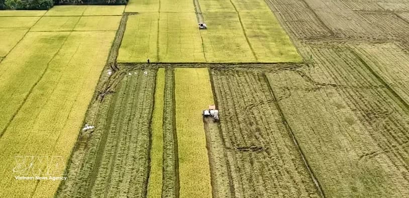 Vietnam seen as gateway for Canadian farm produce to ASEAN