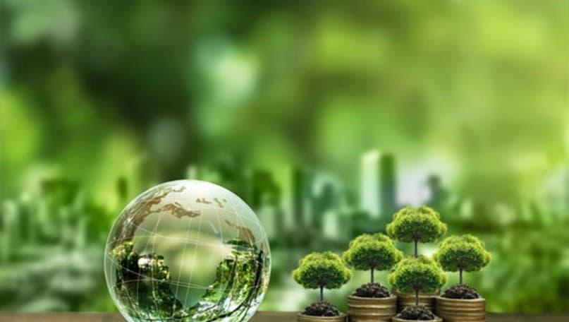 Carbon trading exchange: How to attract businesses and boost liquidity?
