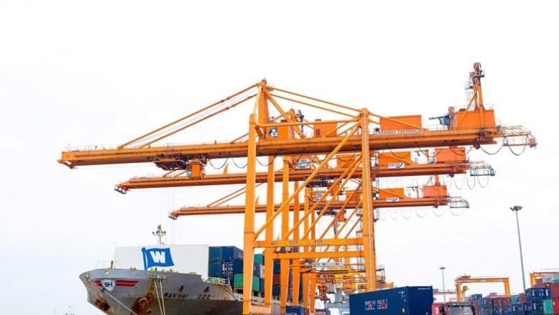 Trade activities remain buoyant