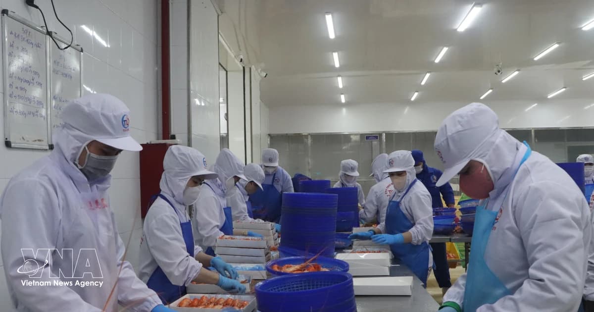 Vietnam's economy expected to grow 11% in 2027
