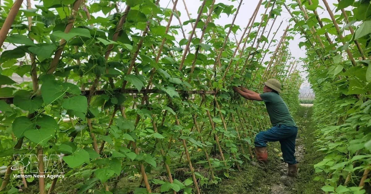 Vietnam fine-tuning Extended Producer Responsibility policy to promote circular economy