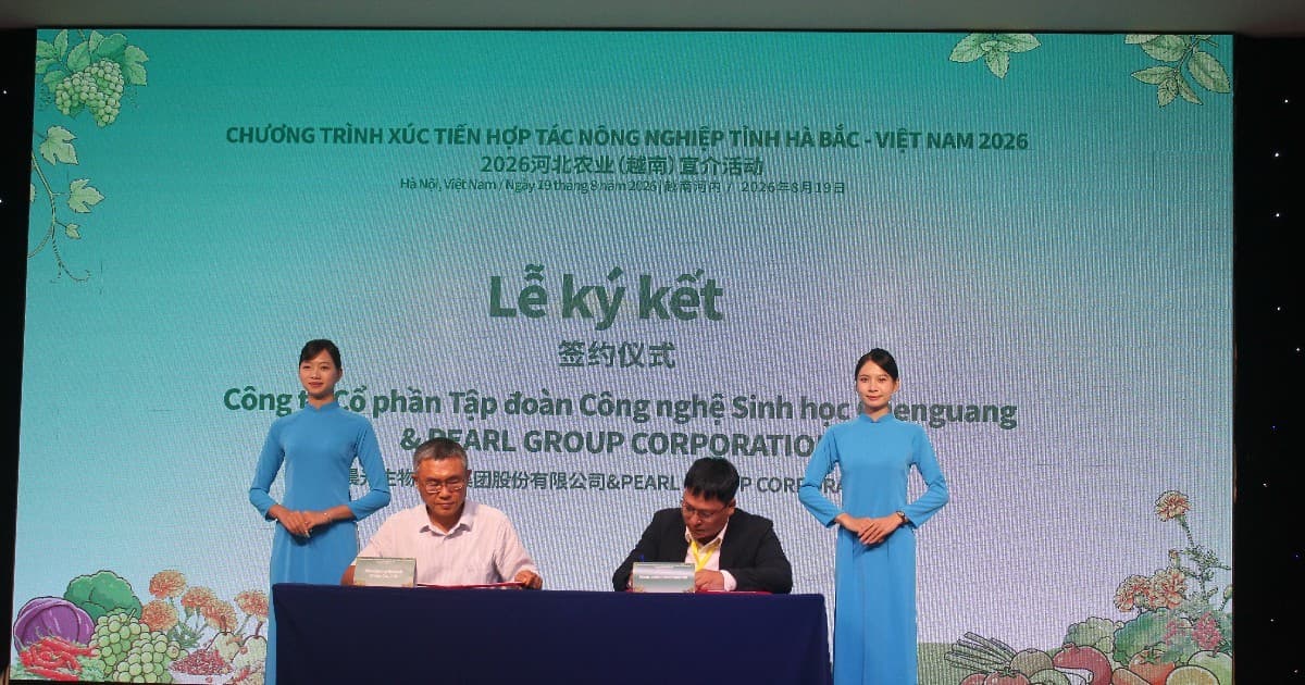 Vietnam and Hebei (China) enhance logistics connectivity to boost agricultural trade
