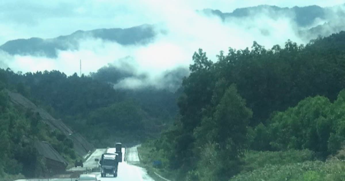 Da Nang aims for up to three forest carbon projects and credit trading by 2030