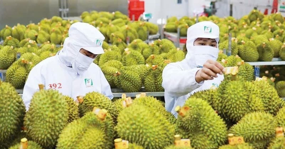 Agricultural cooperation plays key role in Vietnam-India bilateral trade
